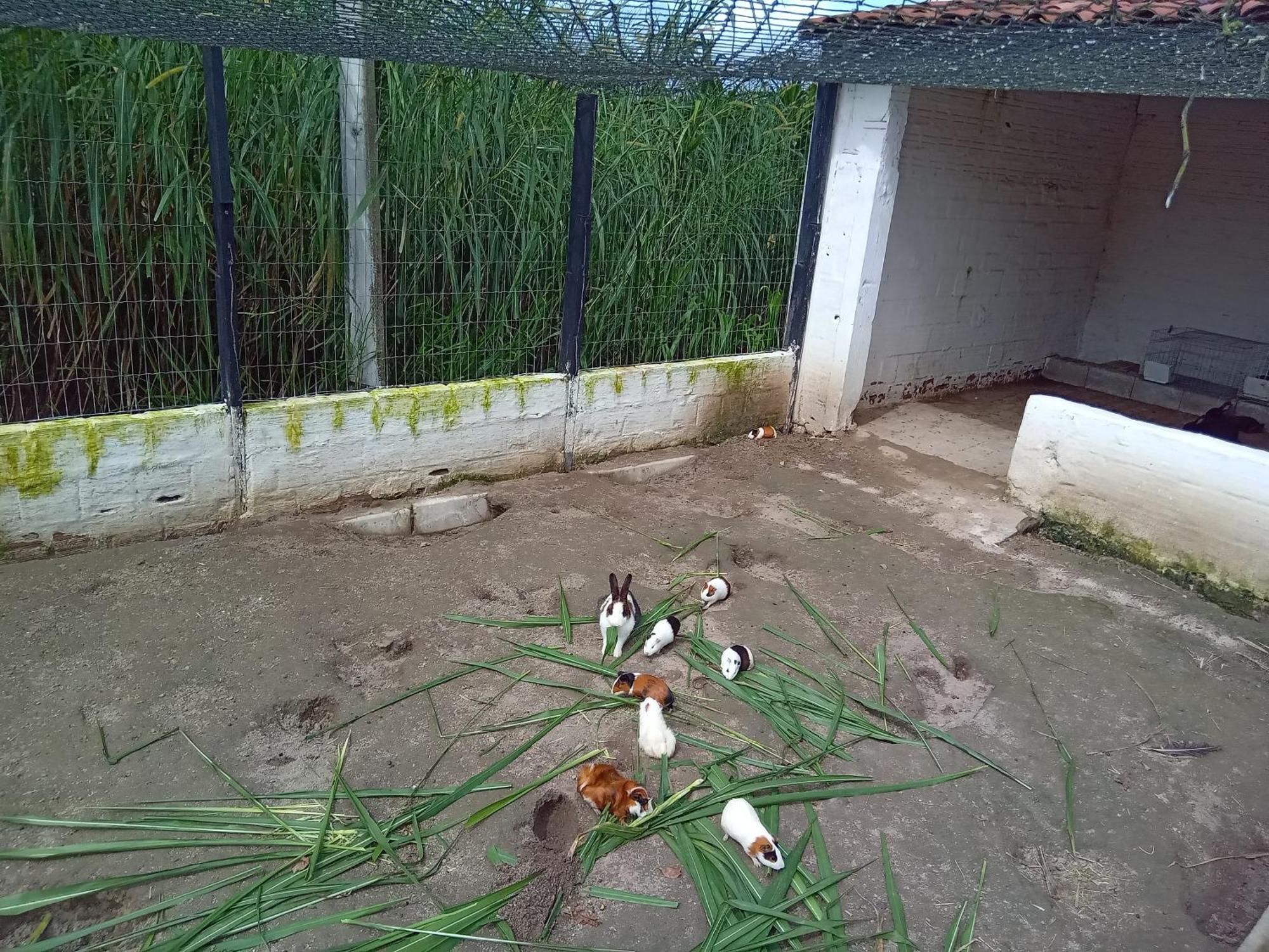 Flat 404 Villa Hipica Gravata  Bagian luar foto